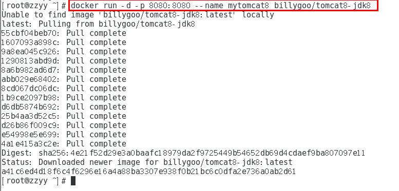 image-20231204172453353