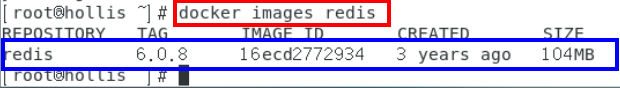 image-20231204173348856