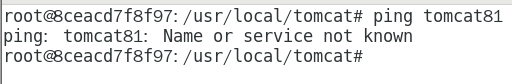 image-20231208104954280