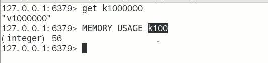 11.memory_usage实操.jpg